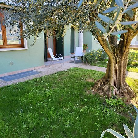 La Casa Sul Parco Lägenhet Valeggio sul Mincio Exteriör bild